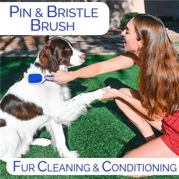 6 In 1 Premium Dog Brush Set - Dog Grooming Brushes - Ball Pin & Bristle Brush - Picture 6 of 7